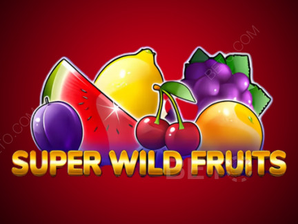 Super Wild Fruits Phiên bản thử