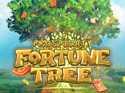 Prosperity Fortune Tree Phiên bản thử