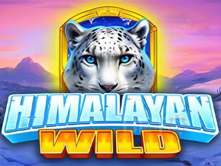 Himalayan Wild Phiên bản thử