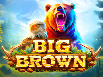 Big Brown Phiên bản thử