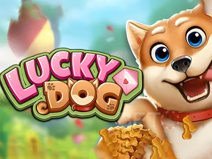 Lucky Dog Phiên bản thử