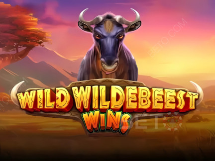 Wild Wildebeest Wins Phiên bản thử