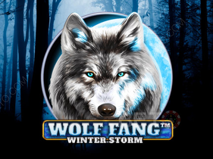 Wolf Fang Winter Storm Phiên bản thử