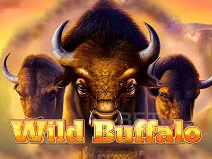 Wild Buffalo Phiên bản thử