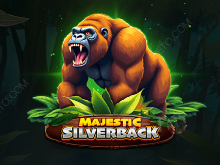 Majestic Silverback Phiên bản thử
