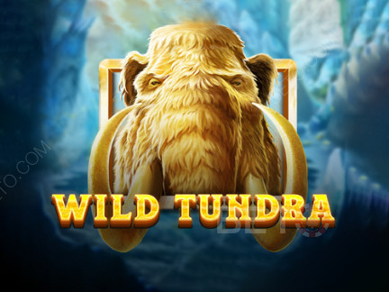 Wild Tundra Phiên bản thử