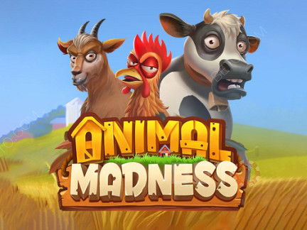 Animal Madness Phiên bản thử