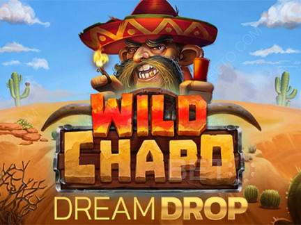 Wild Chapo Dream Drop Phiên bản thử
